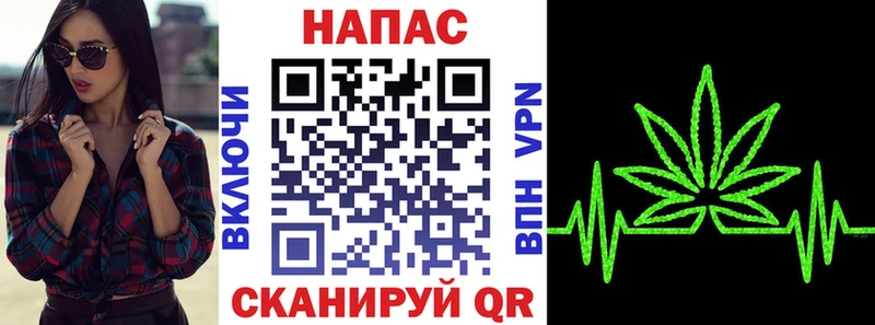 где можно купить наркотик  Грозный  Конопля гибрид 